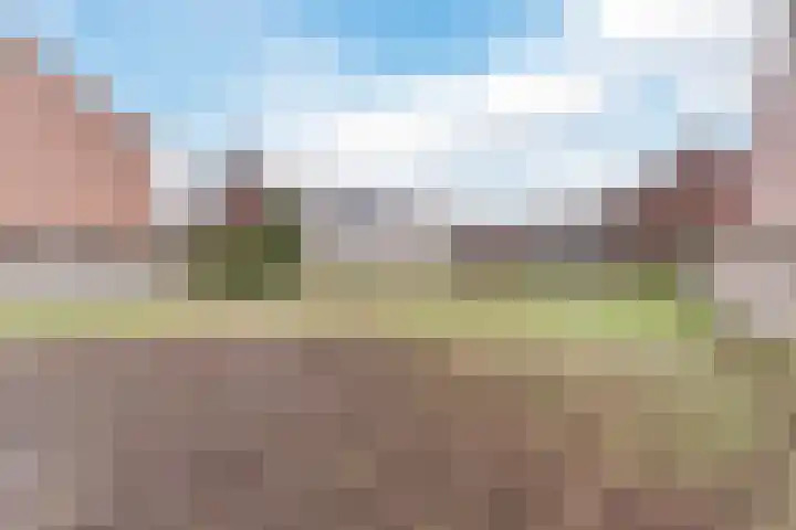 Frankenstraat 33 Eersel thumbnail 31