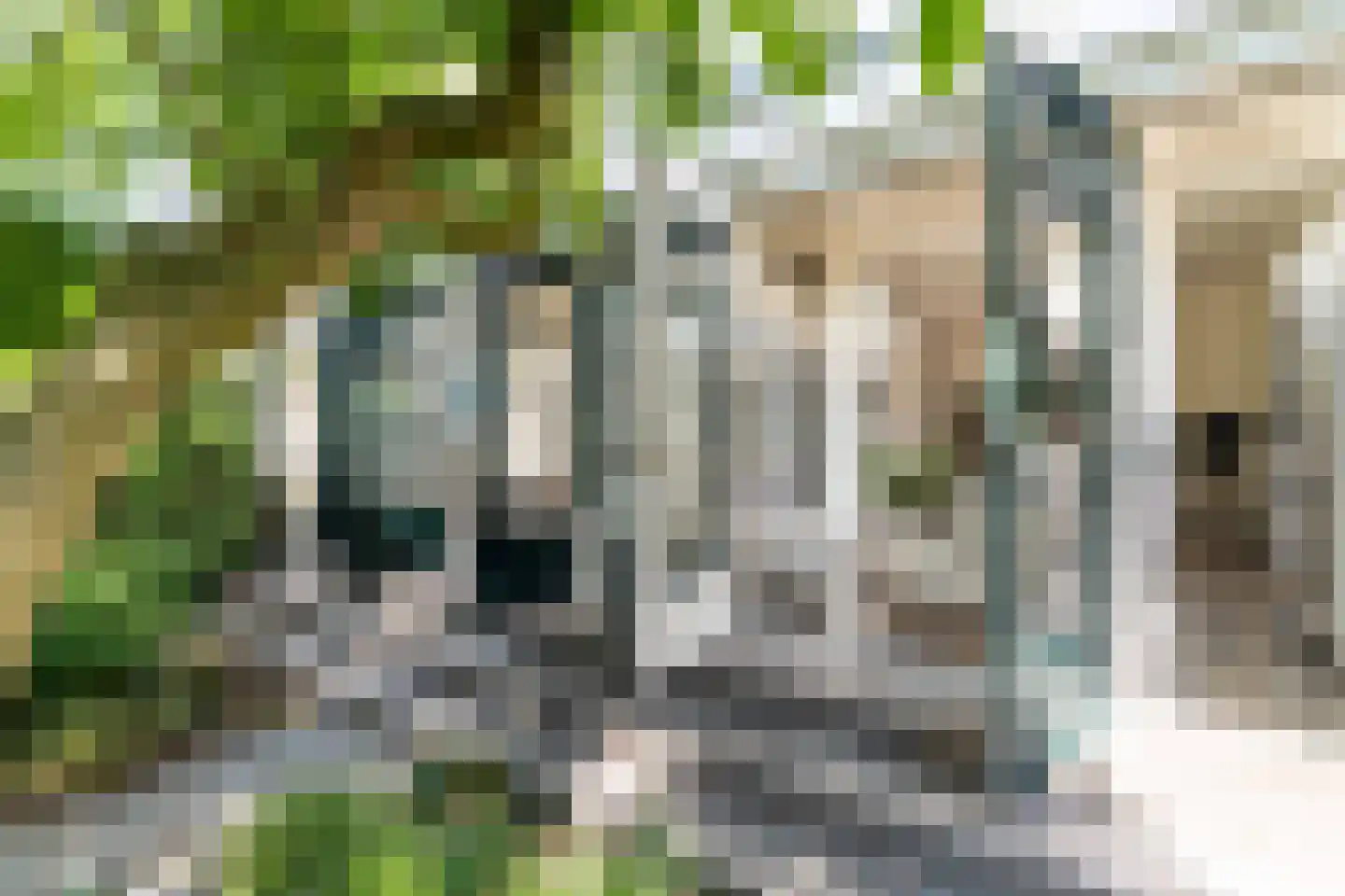Frankenstraat 34 Den Haag thumbnail 8