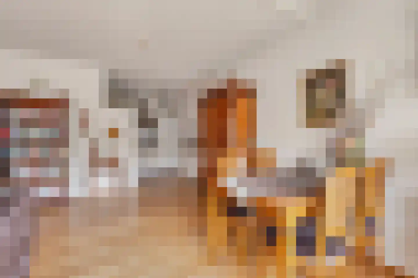 Frankenstraat 34 Huissen thumbnail 10
