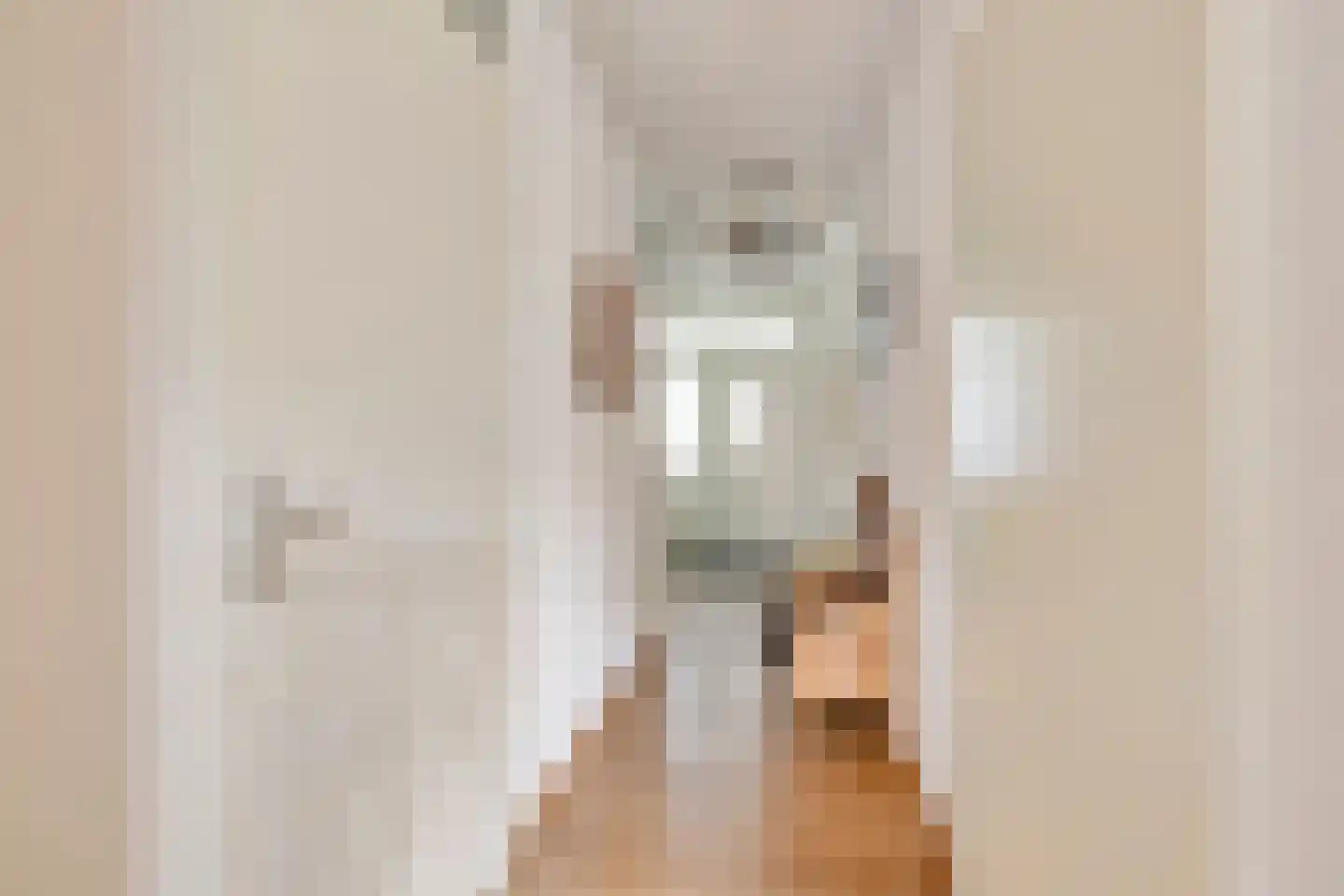 Frankenstraat 34 Huissen thumbnail 16