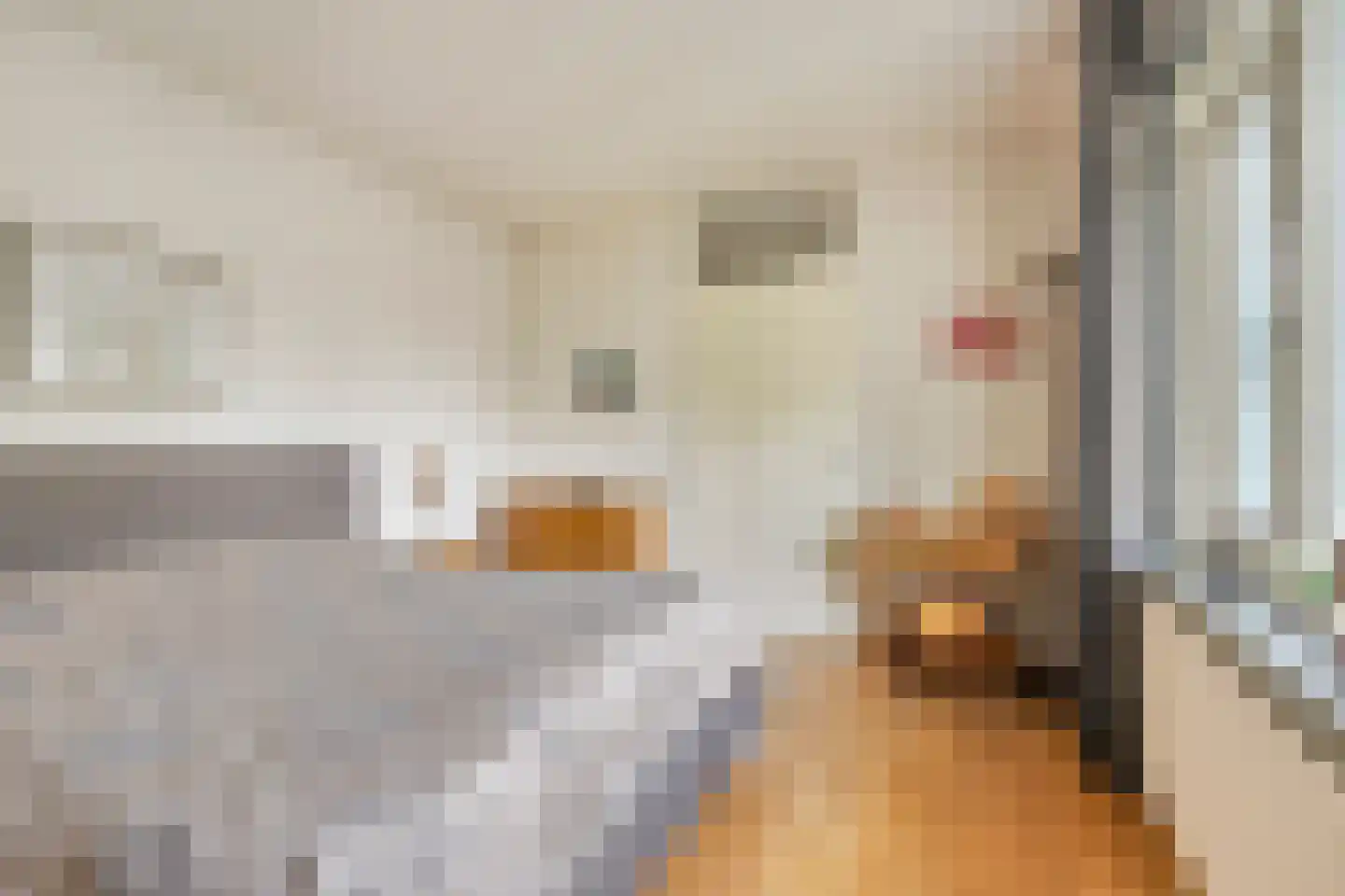 Frankenstraat 34 Huissen thumbnail 19