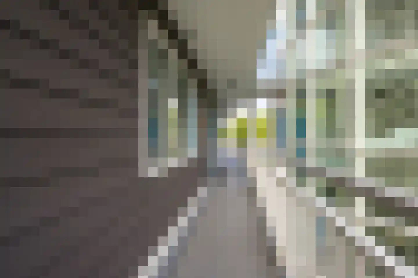 Frankenstraat 34 Huissen thumbnail 22