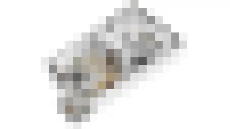 Frankenstraat 34 Huissen thumbnail 33