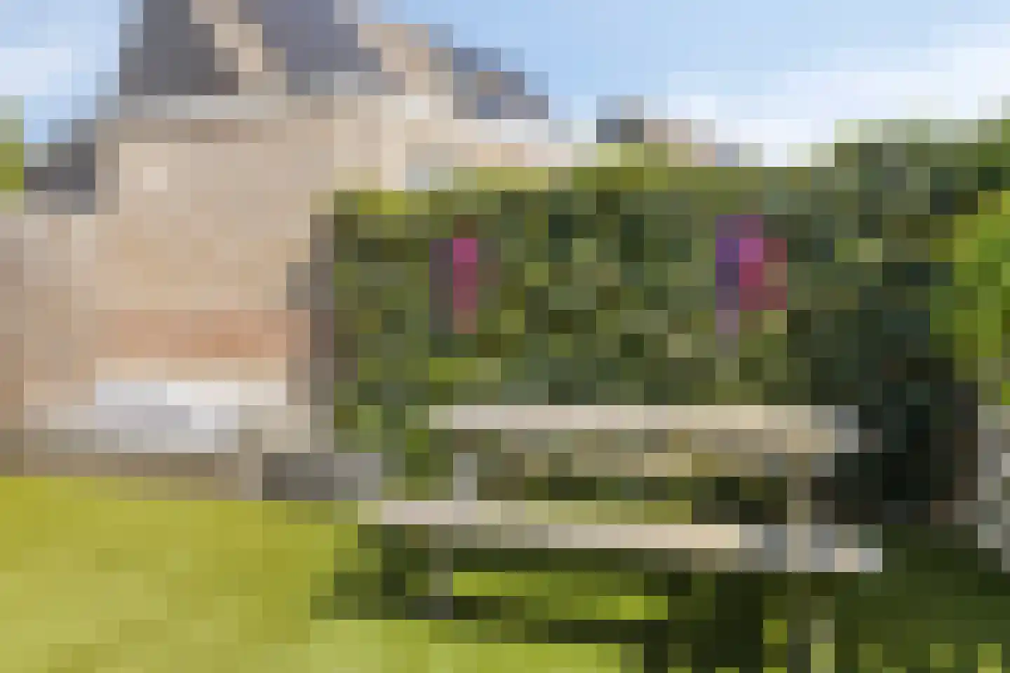 Frankenstraat 5 's-Heerenberg thumbnail 30