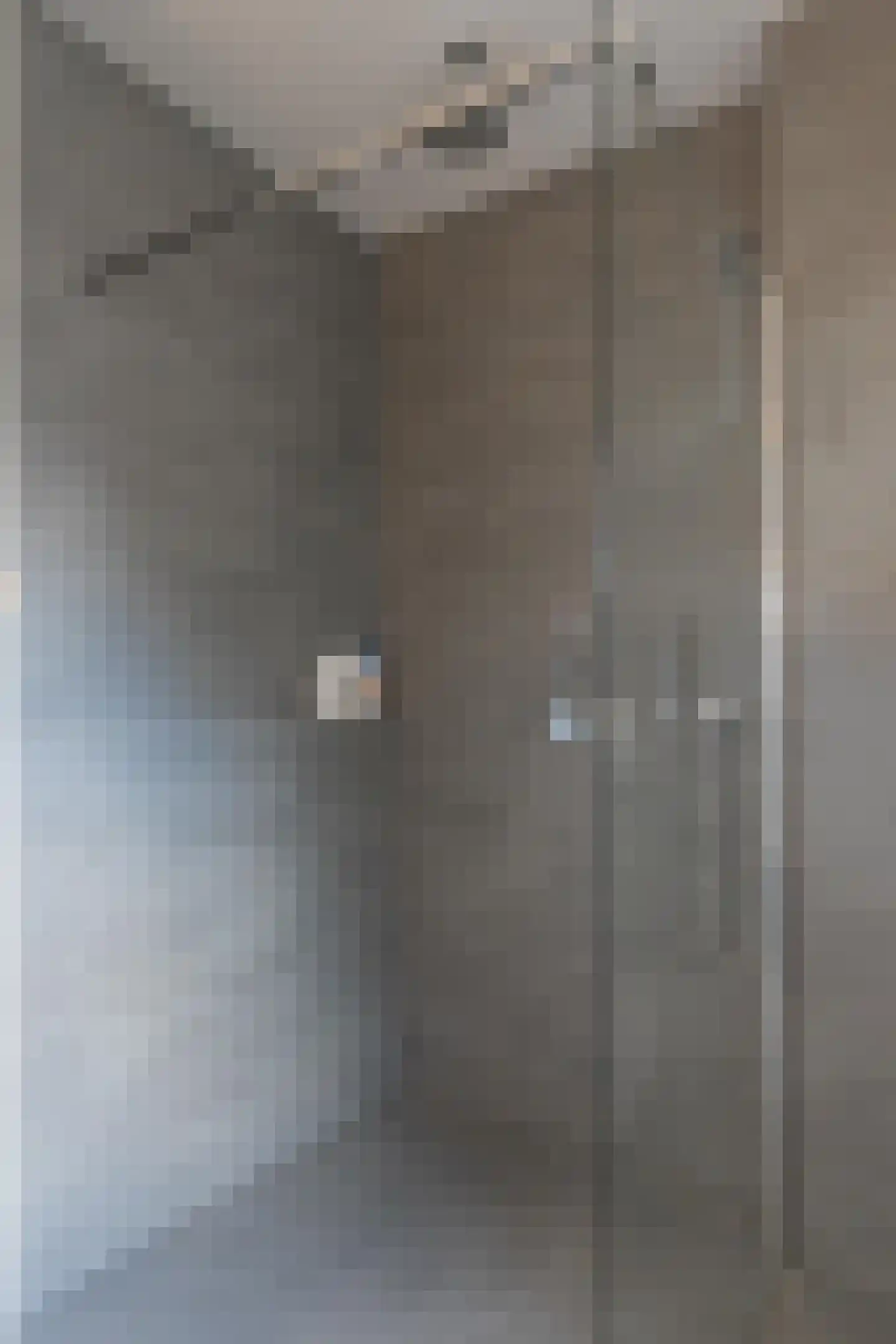 Frankenstraat 5 Stein thumbnail 16