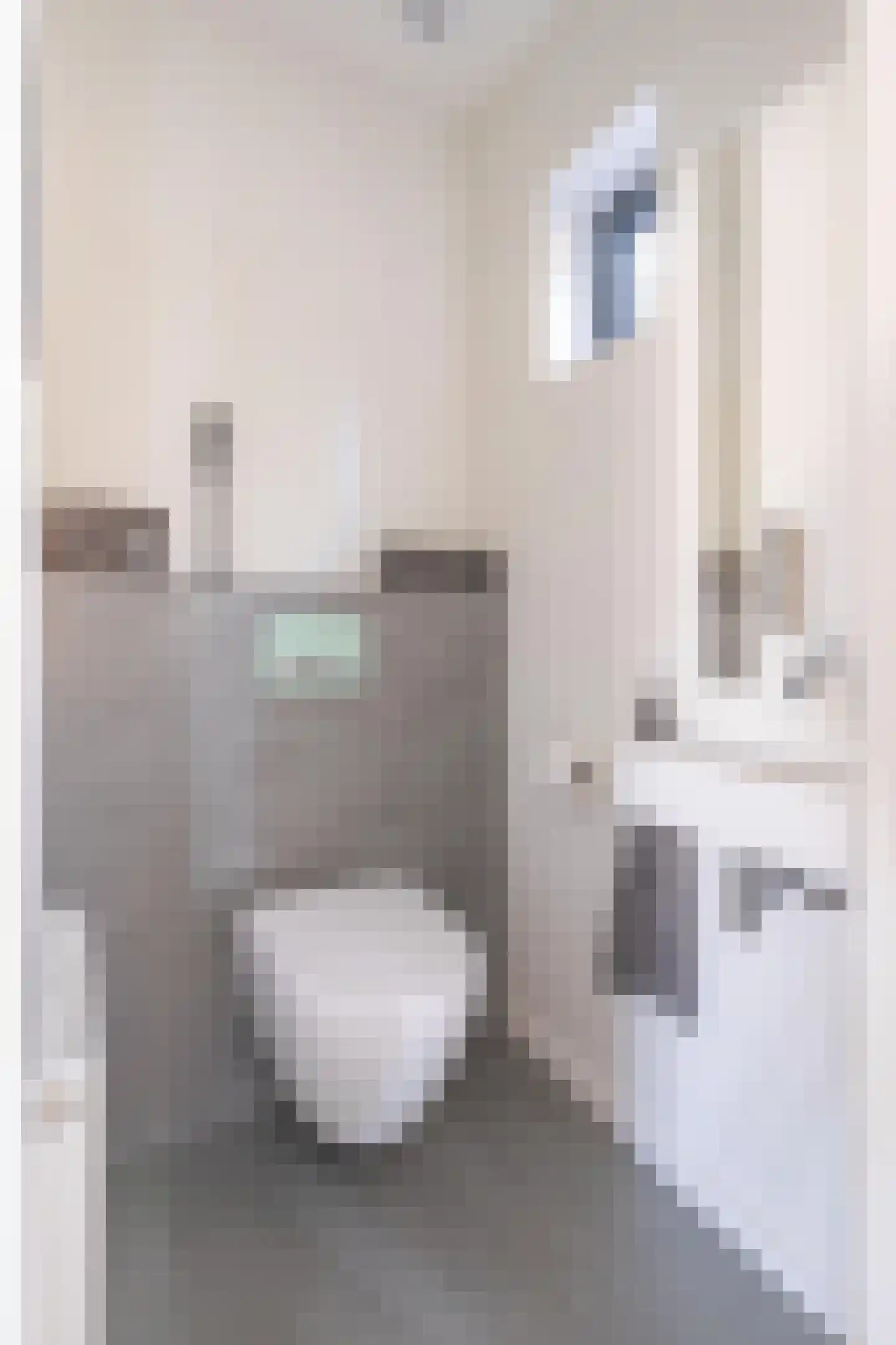 Frankenstraat 5 Stein thumbnail 23