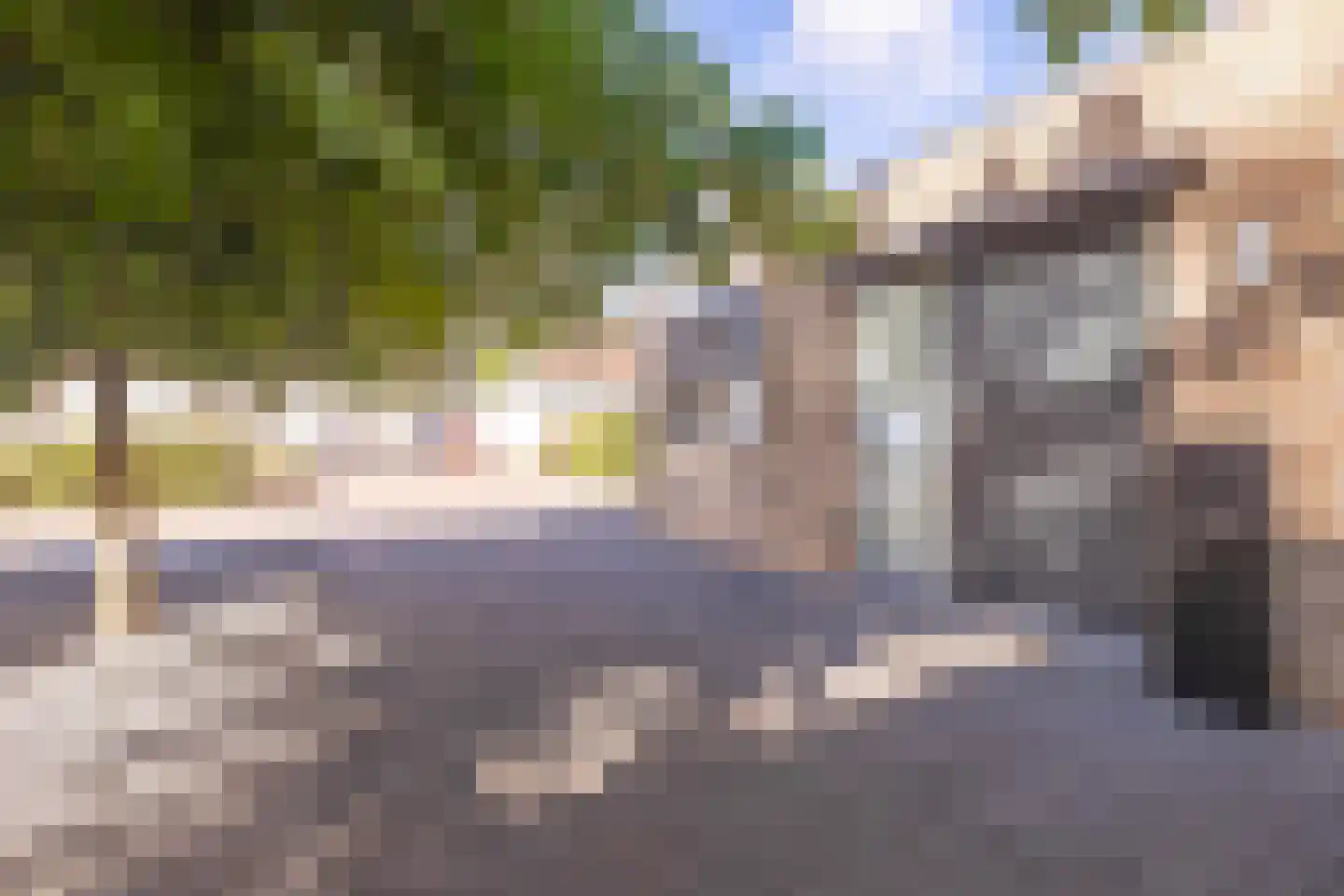 Frankenstraat 5 Stein thumbnail 4