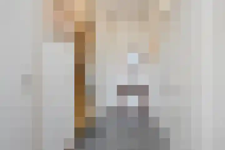 Frankenstraat 50 Huissen thumbnail 14