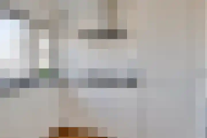 Frankenstraat 50 Huissen thumbnail 27