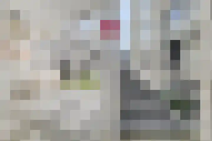 Frankenstraat 50 Huissen thumbnail 7