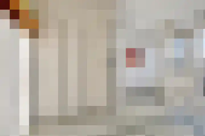 Frankenstraat 50 Huissen thumbnail 8