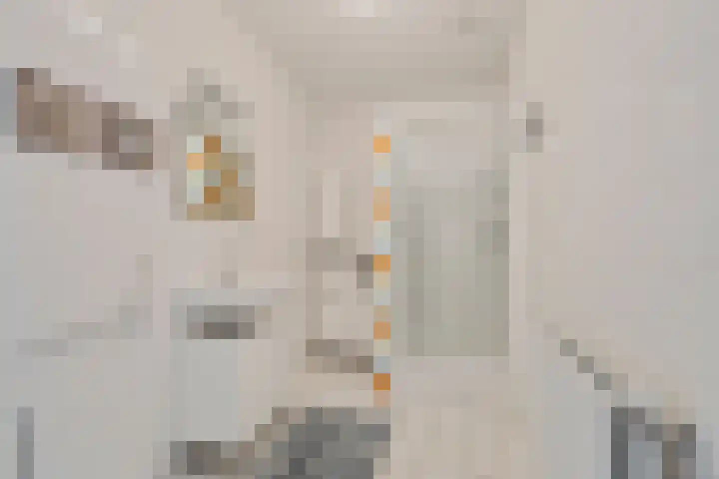 Frankenstraat 56 Huissen thumbnail 14