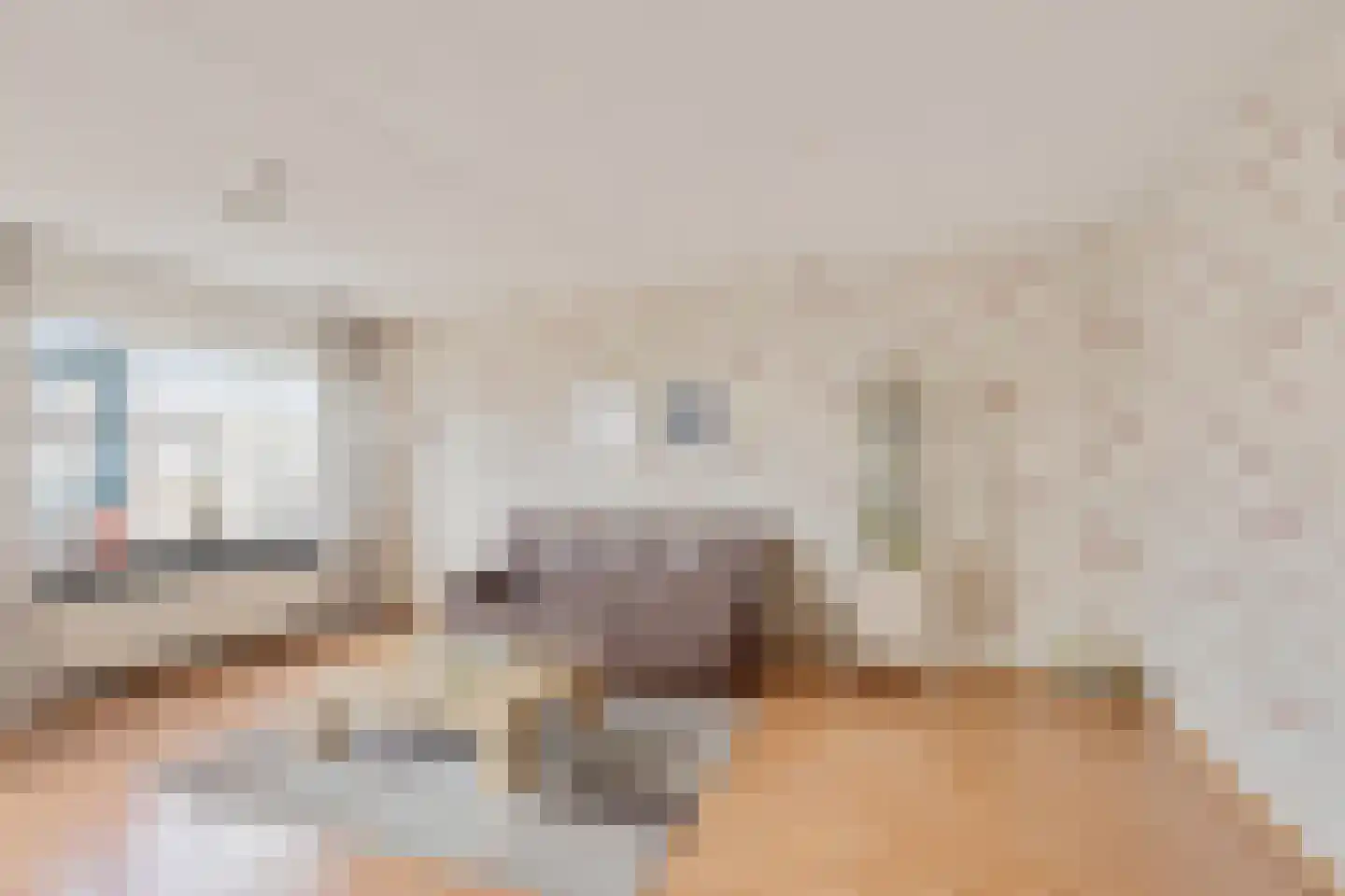Frankenstraat 56 Huissen thumbnail 8