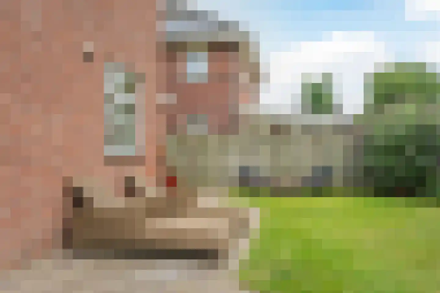 Frankenstraat 6 Heumen thumbnail 36