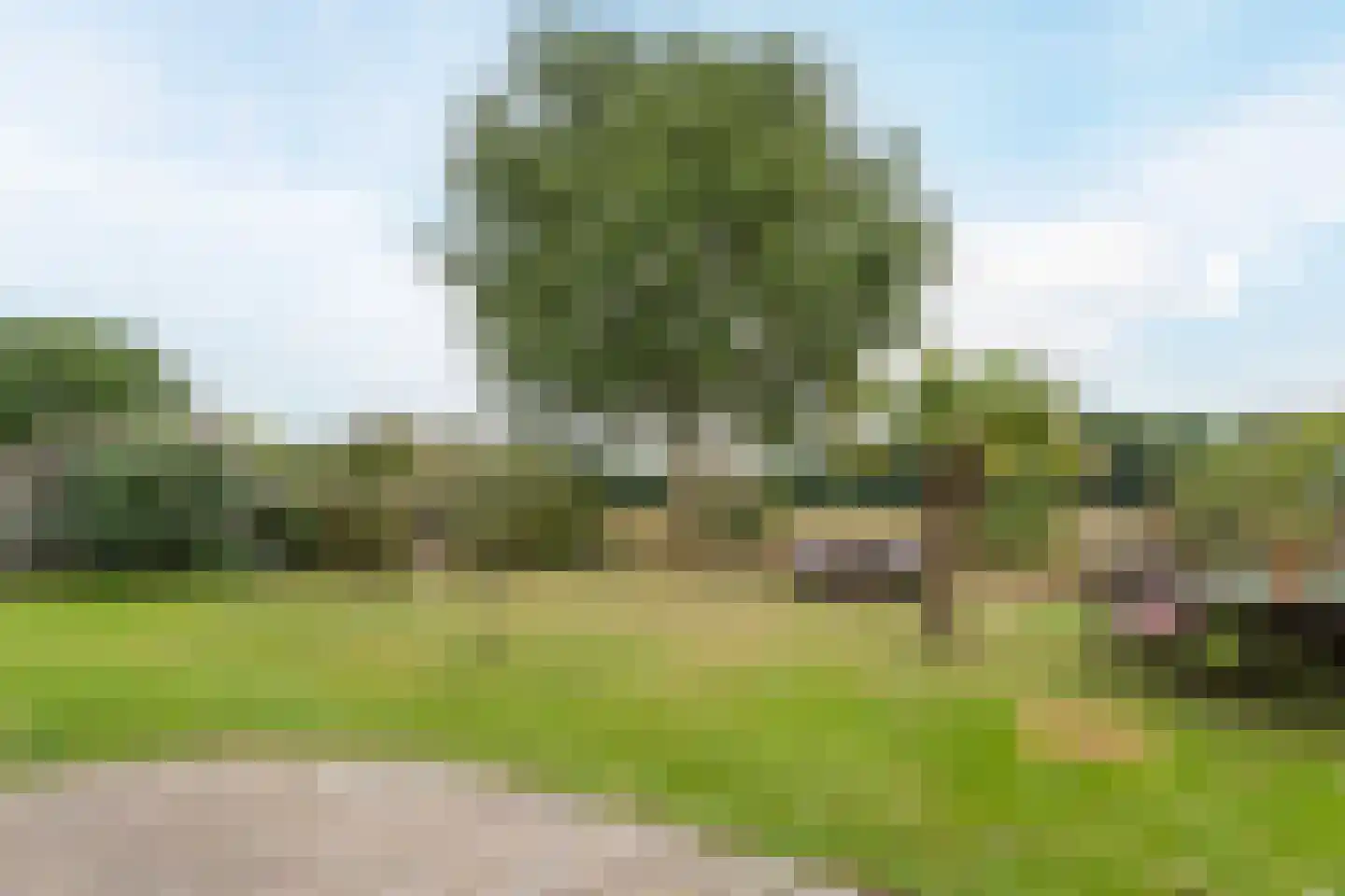 Frankenstraat 6 Heumen thumbnail 4