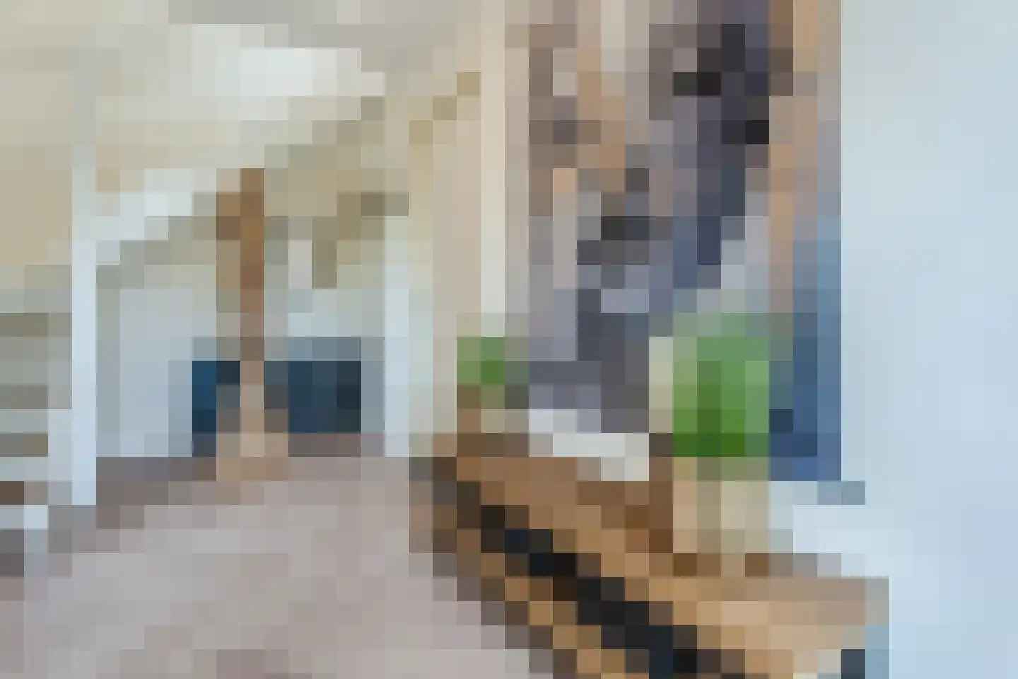 Frankenstraat 6 Heumen thumbnail 8