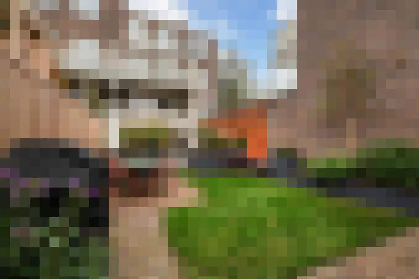 Frankenstraat 62 A Den Haag thumbnail 52