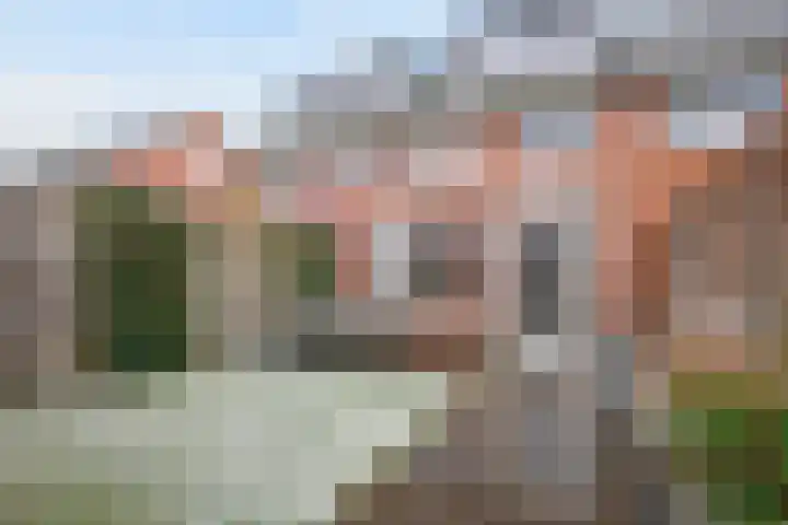 Frankentaler 39 Huissen thumbnail 4