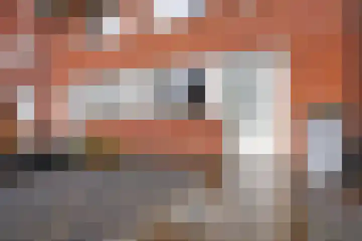 Frankentaler 39 Huissen thumbnail 5