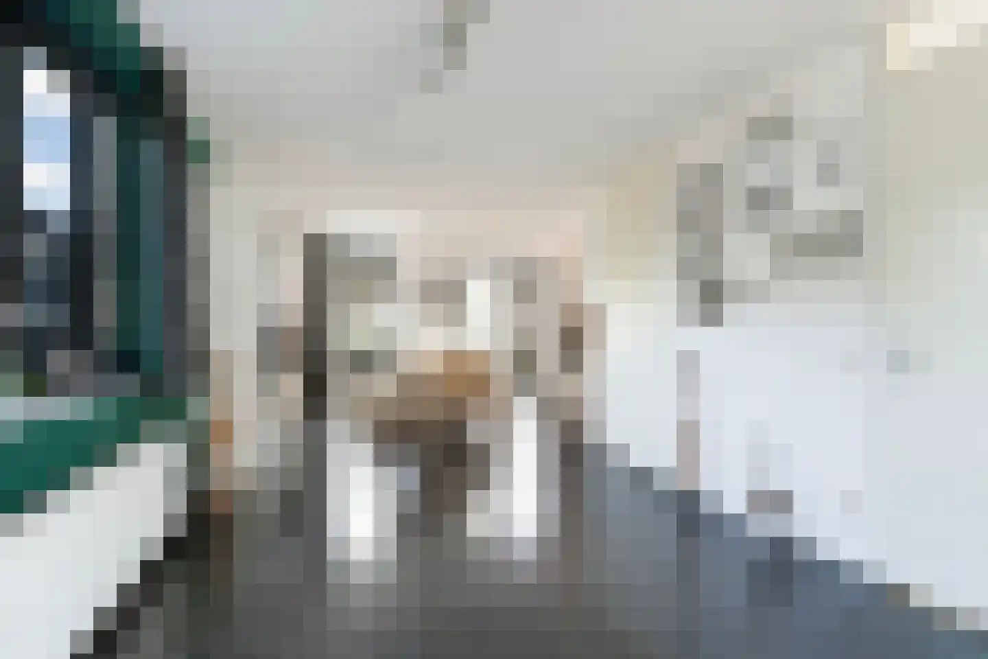 Frankentaler 7 Huissen thumbnail 11