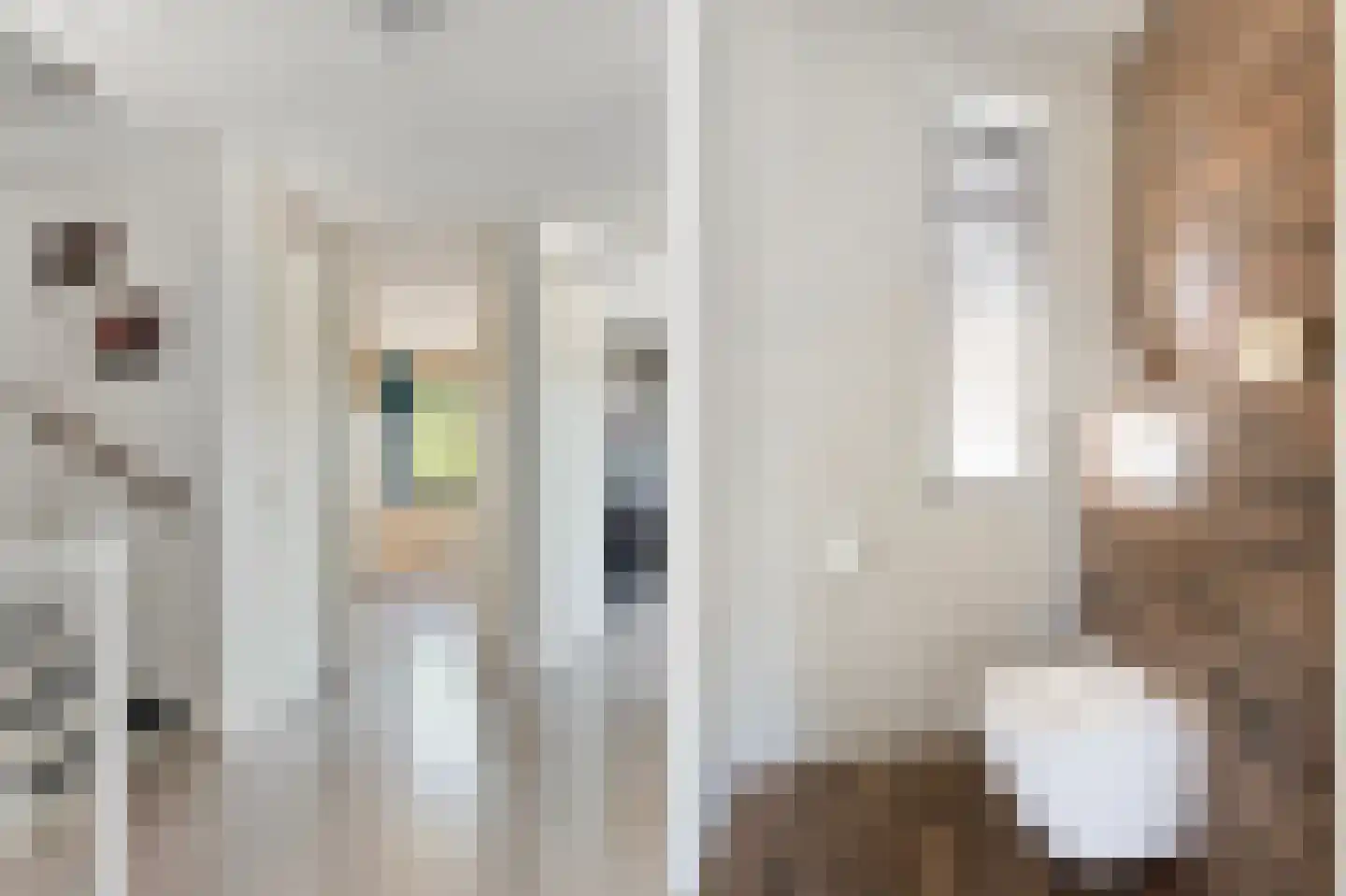 Frankentaler 7 Huissen thumbnail 22