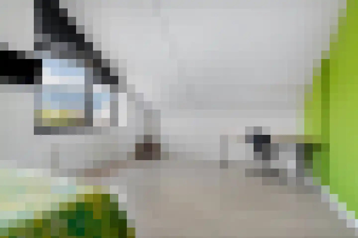 Frankentaler 7 Huissen thumbnail 29