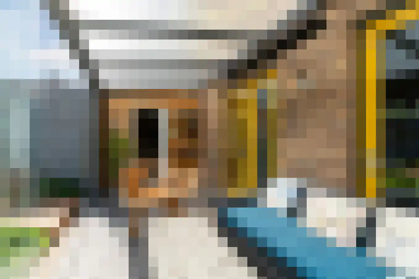 Frankentaler 7 Huissen thumbnail 38