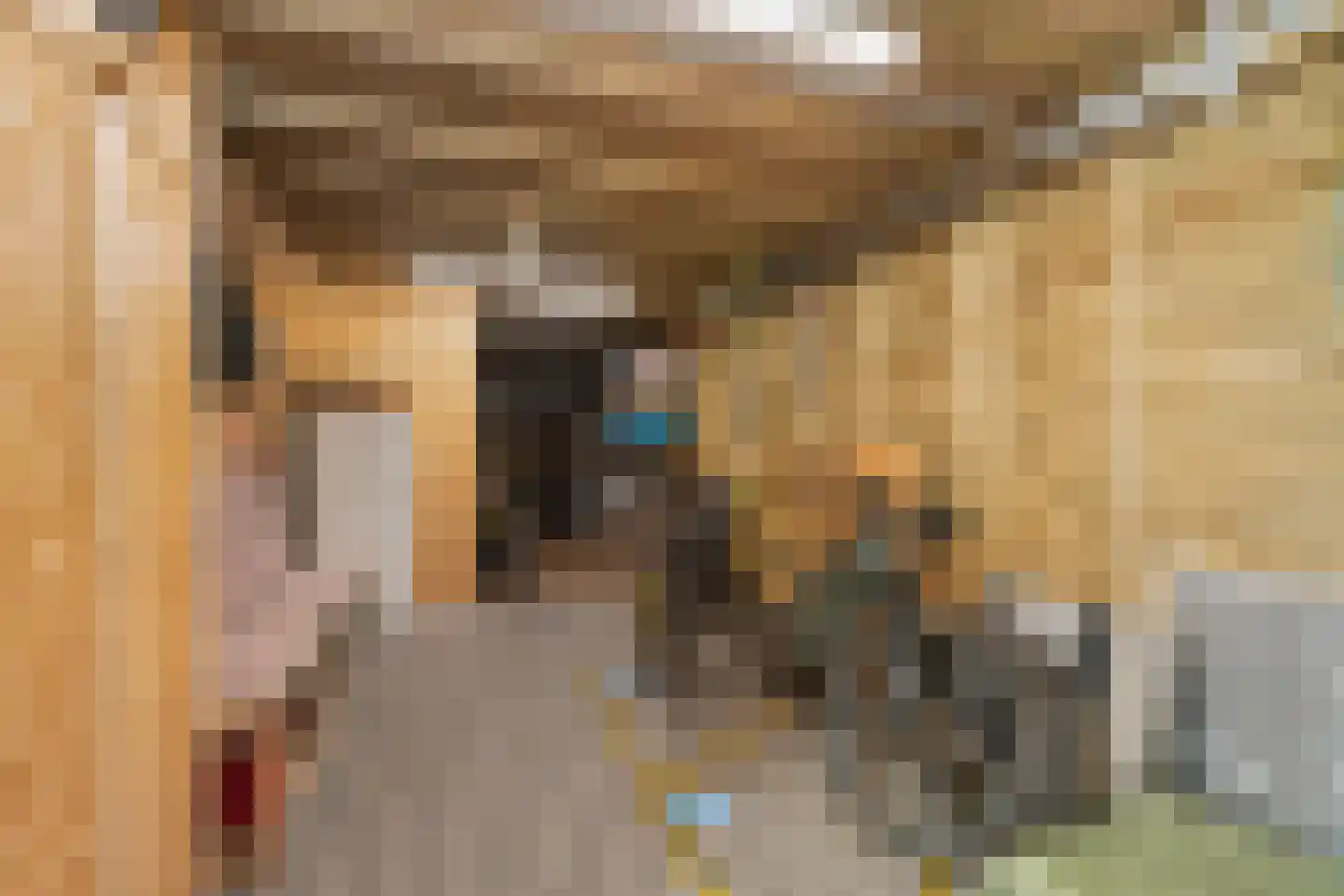 Frankentaler 7 Huissen thumbnail 39