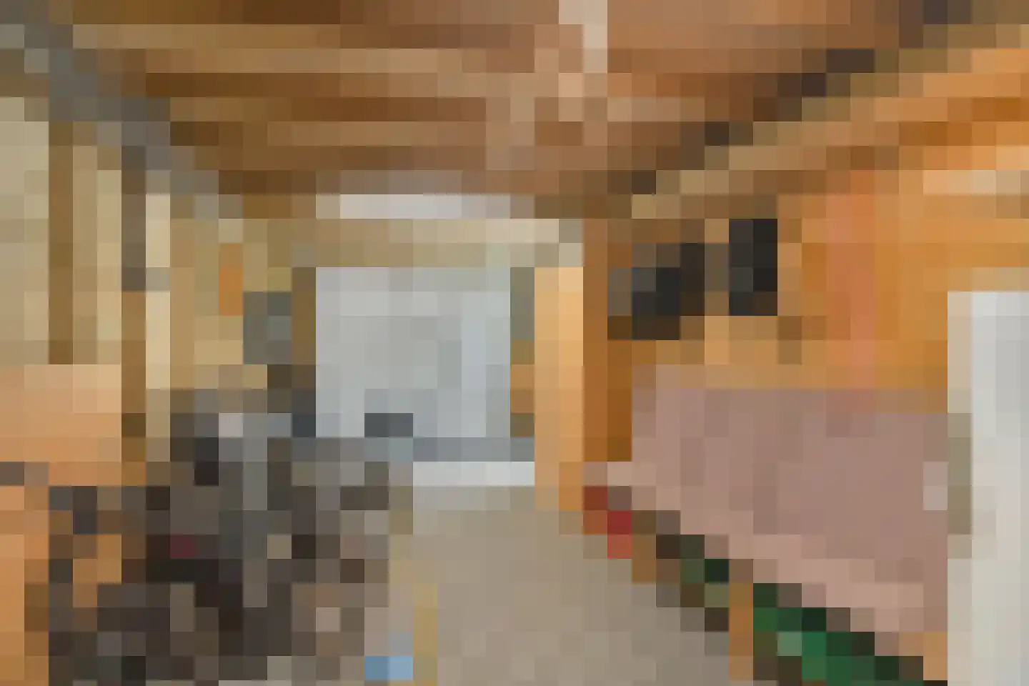Frankentaler 7 Huissen thumbnail 40
