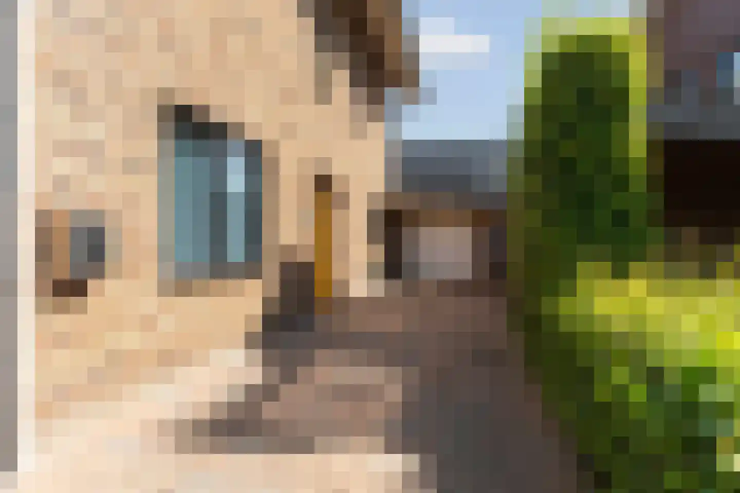 Frankentaler 7 Huissen thumbnail 43