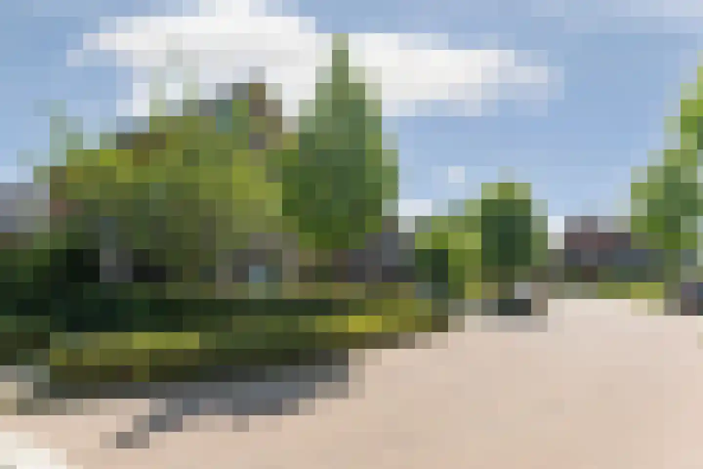 Frankentaler 7 Huissen thumbnail 47