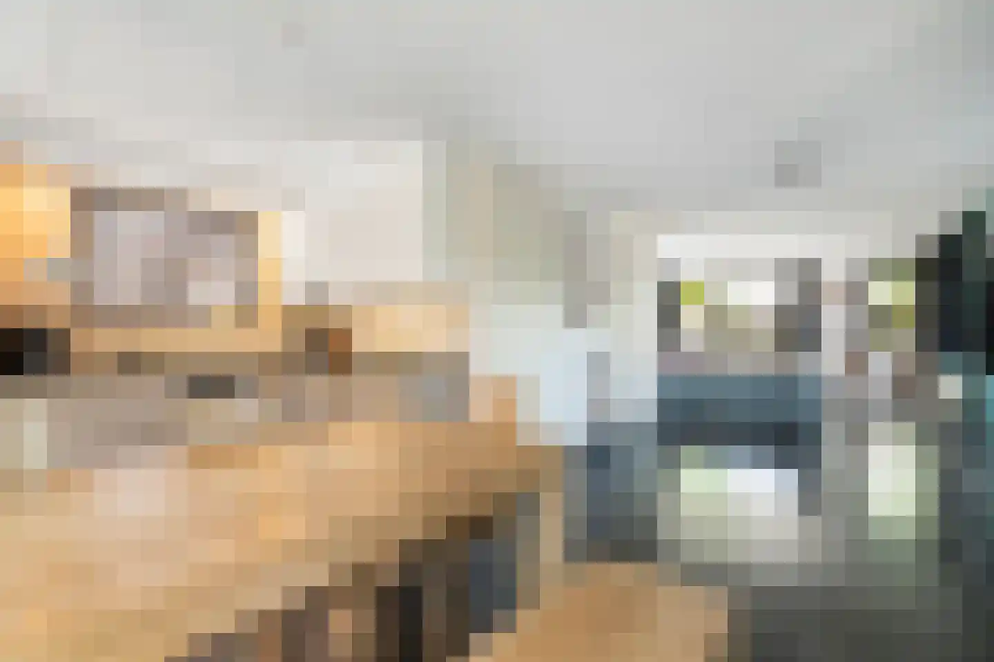 Frankentaler 7 Huissen thumbnail 7