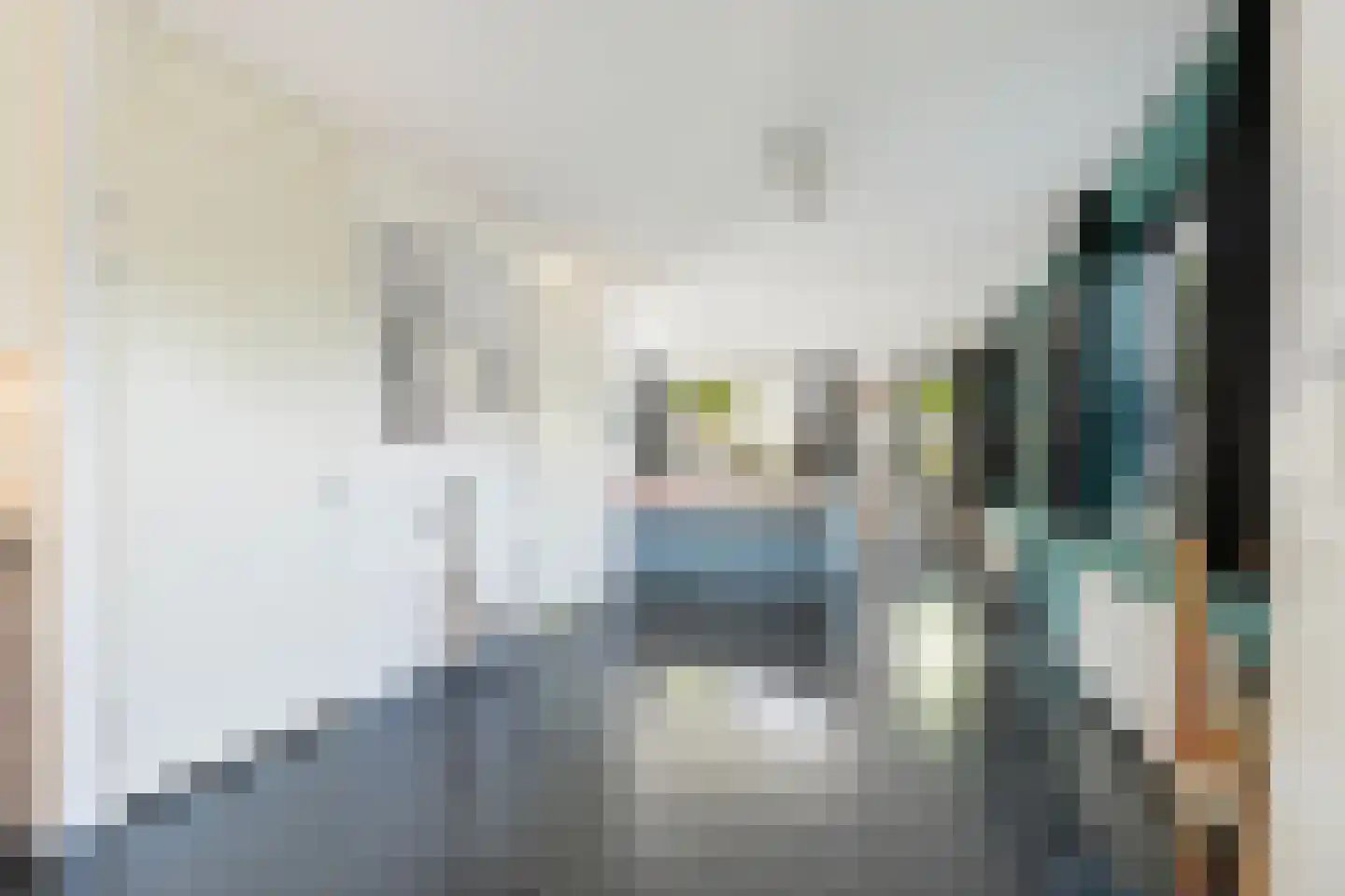Frankentaler 7 Huissen thumbnail 8