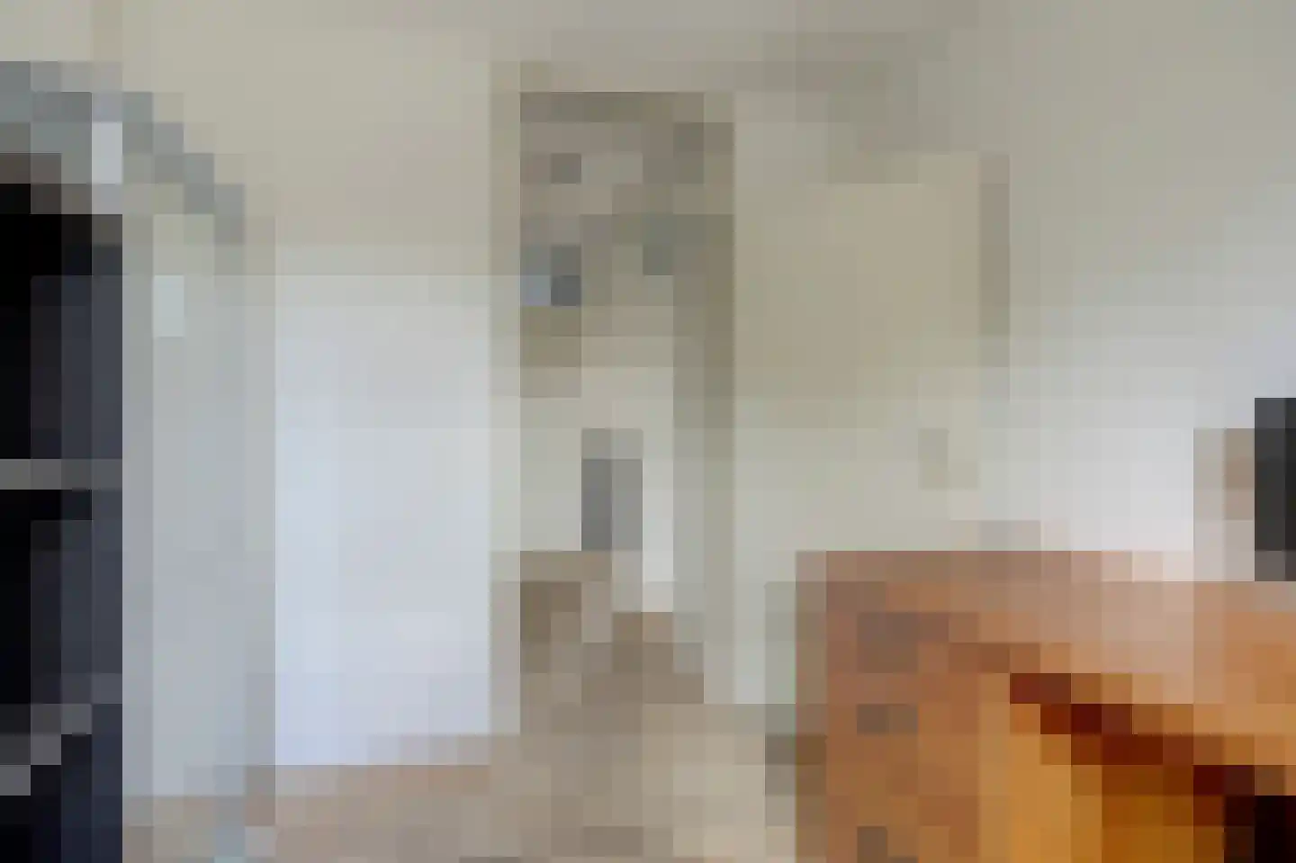 Frankenthaler 10 De Lier thumbnail 29