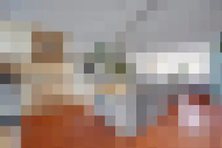 Frankenthaler 42 De Lier thumbnail 12