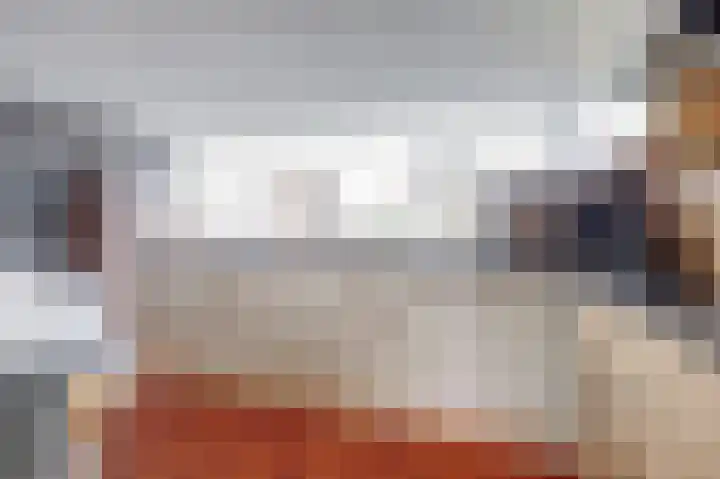 Frankenthaler 42 De Lier thumbnail 5