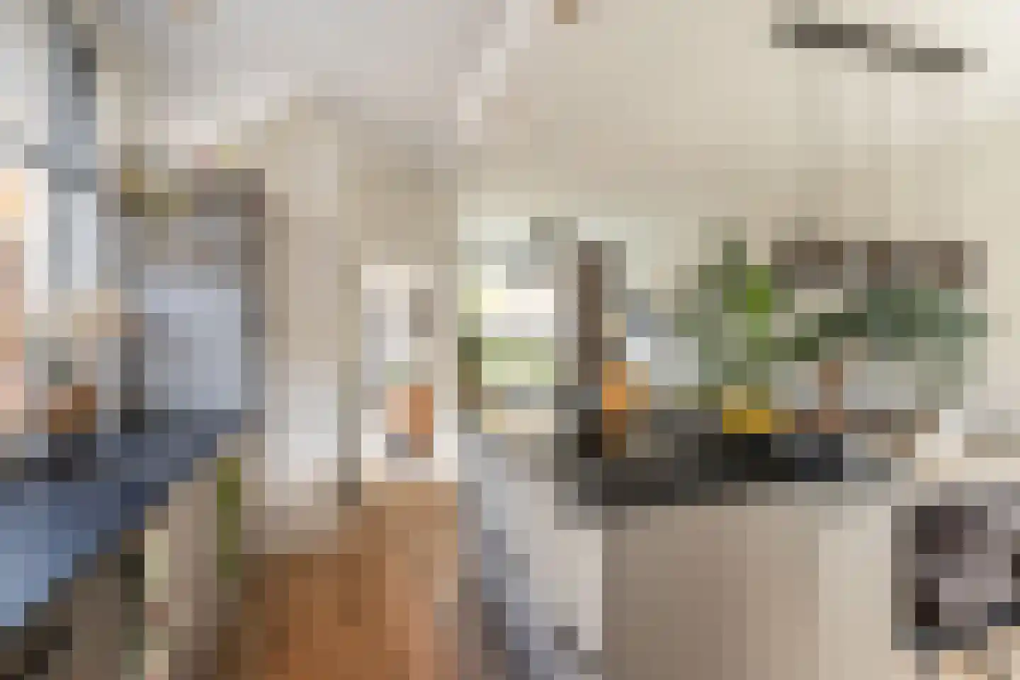 Frankenthalerstraat 12 Naaldwijk thumbnail 10
