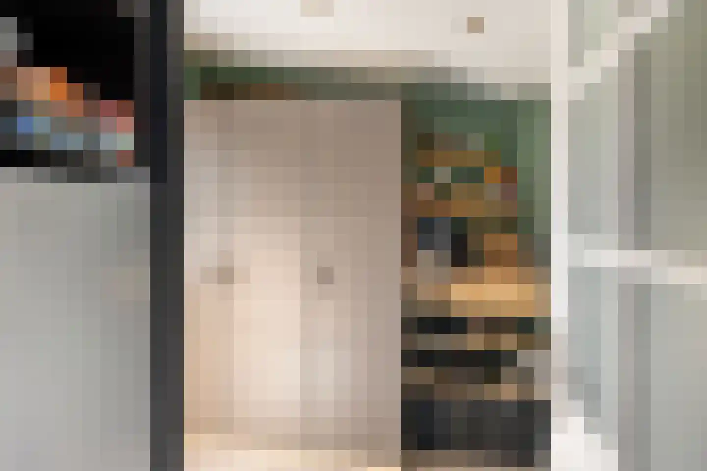 Frankenthalerstraat 12 Naaldwijk thumbnail 14