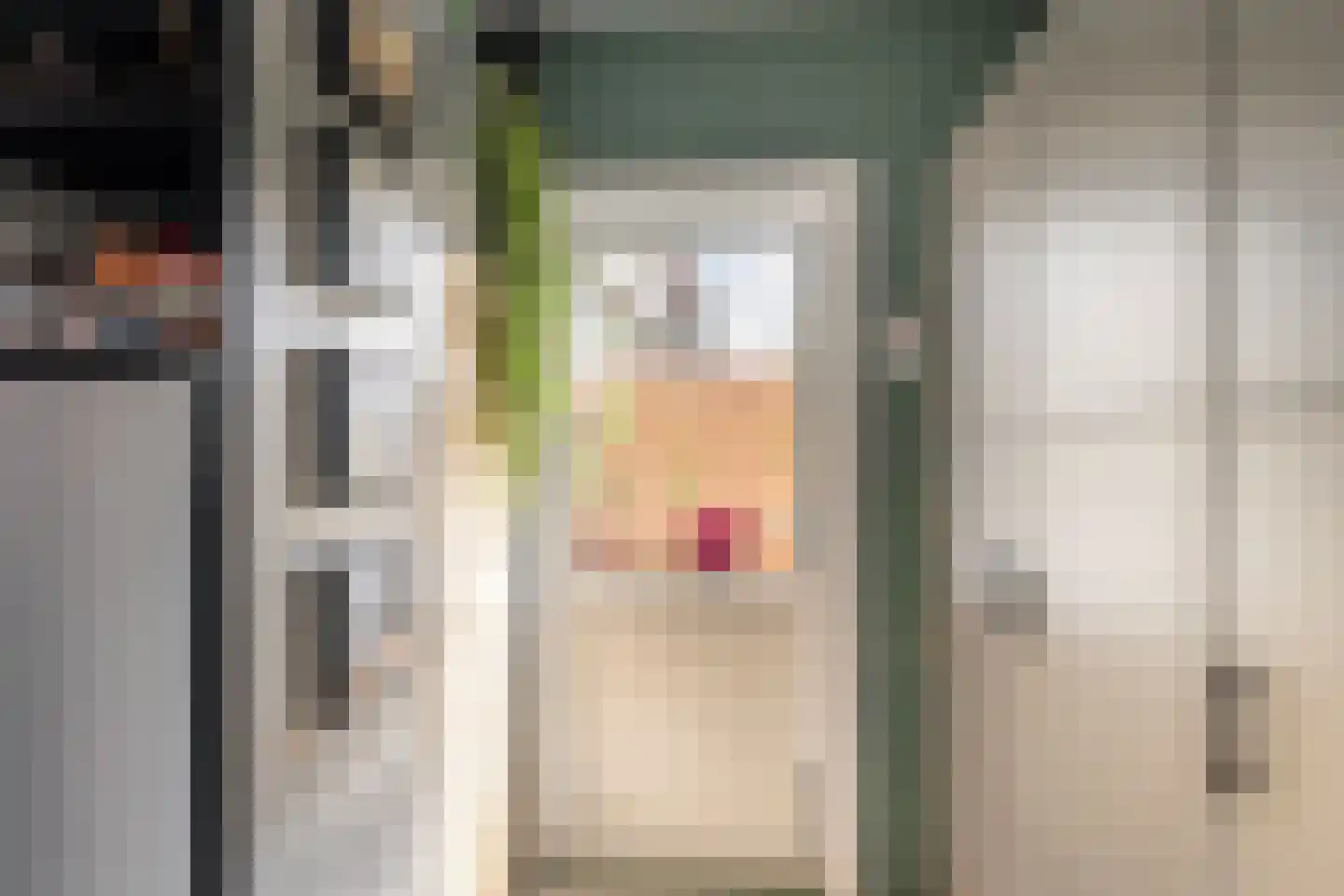 Frankenthalerstraat 12 Naaldwijk thumbnail 15