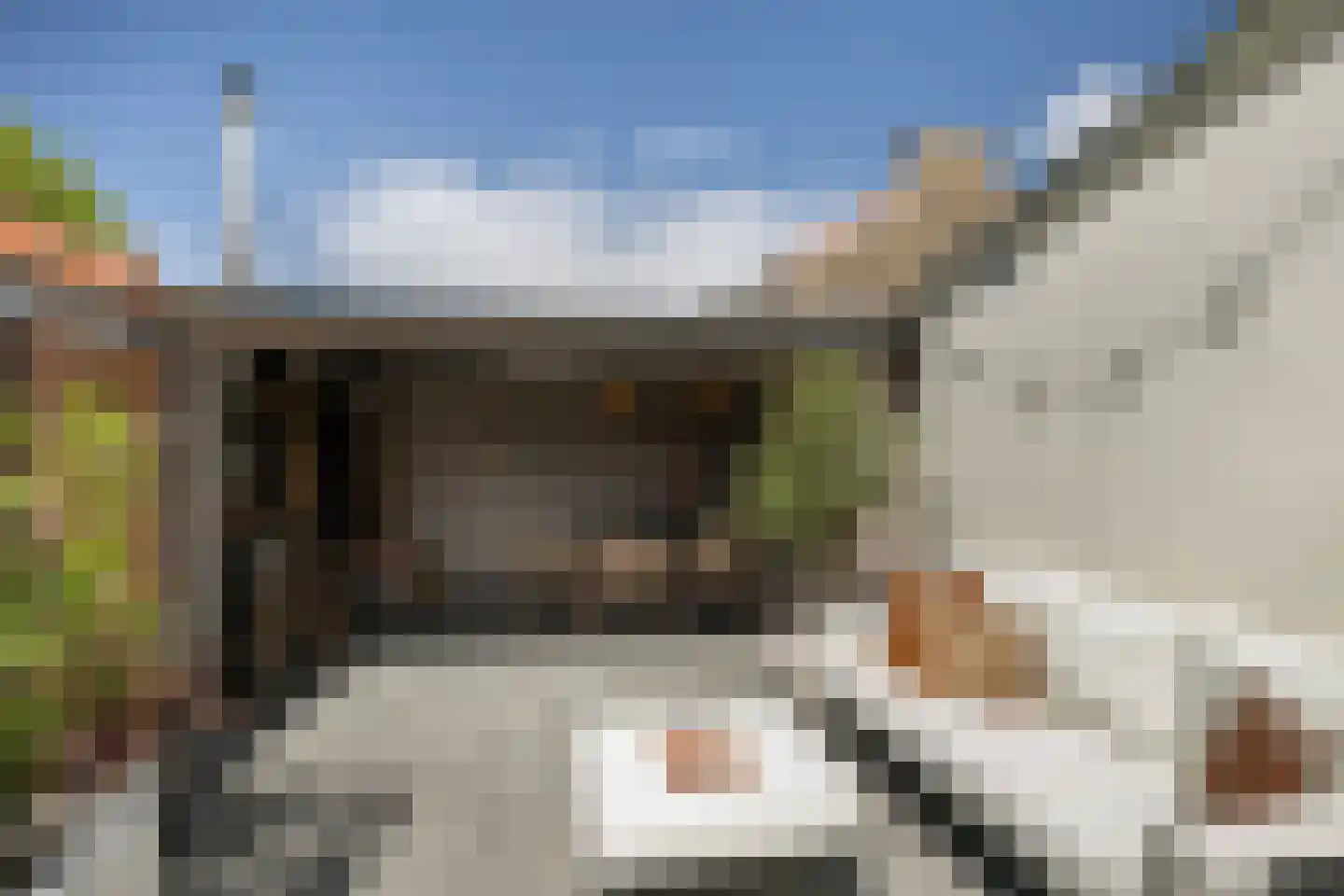 Frankenthalerstraat 12 Naaldwijk thumbnail 18
