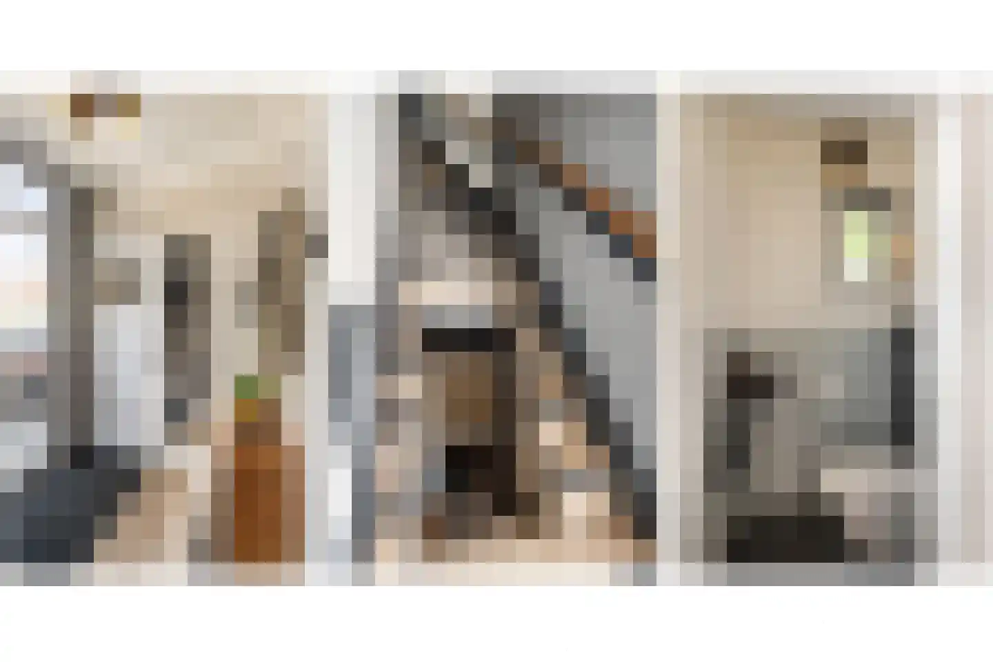 Frankenthalerstraat 12 Naaldwijk thumbnail 23