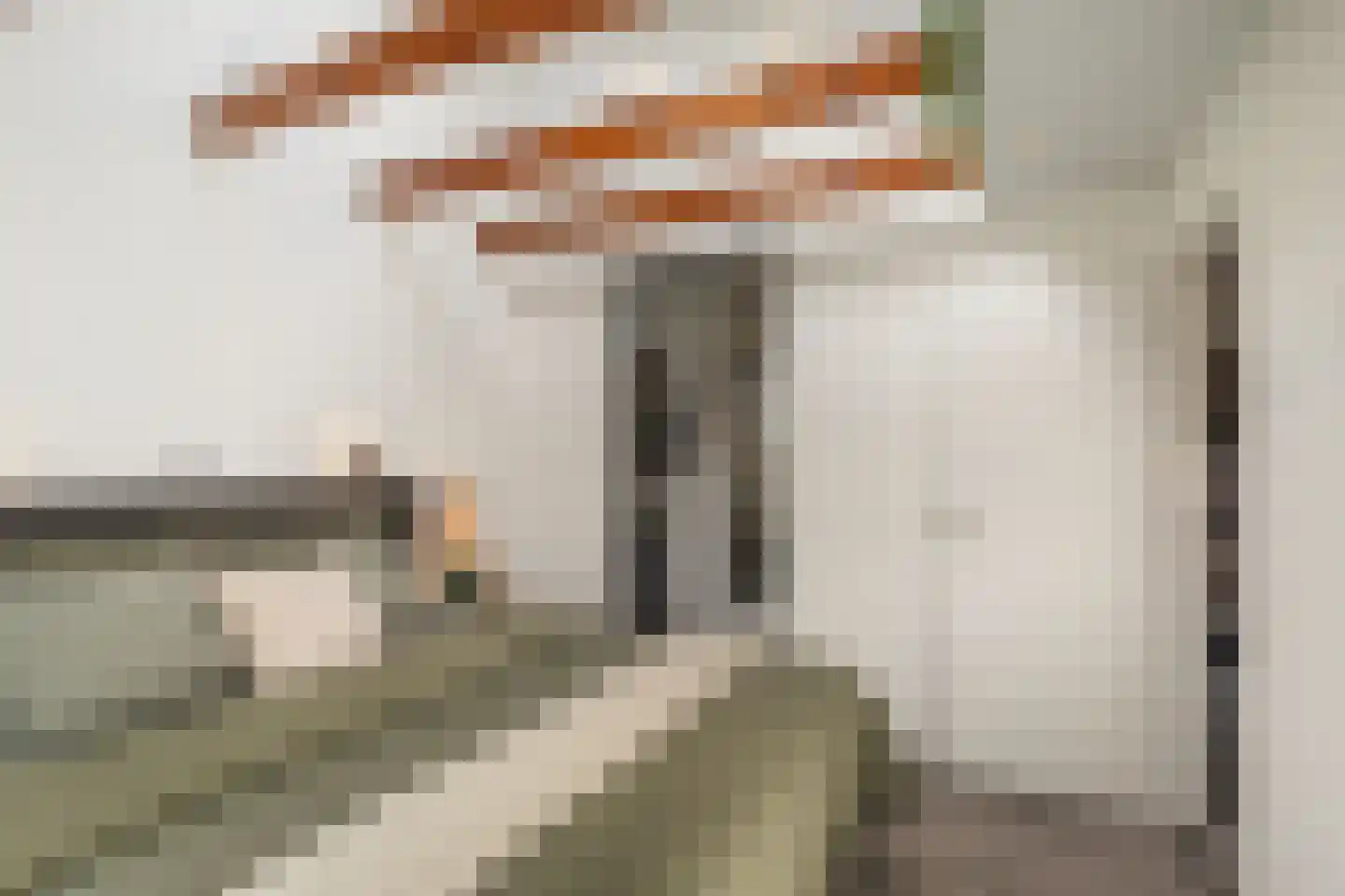 Frankenthalerstraat 12 Naaldwijk thumbnail 26