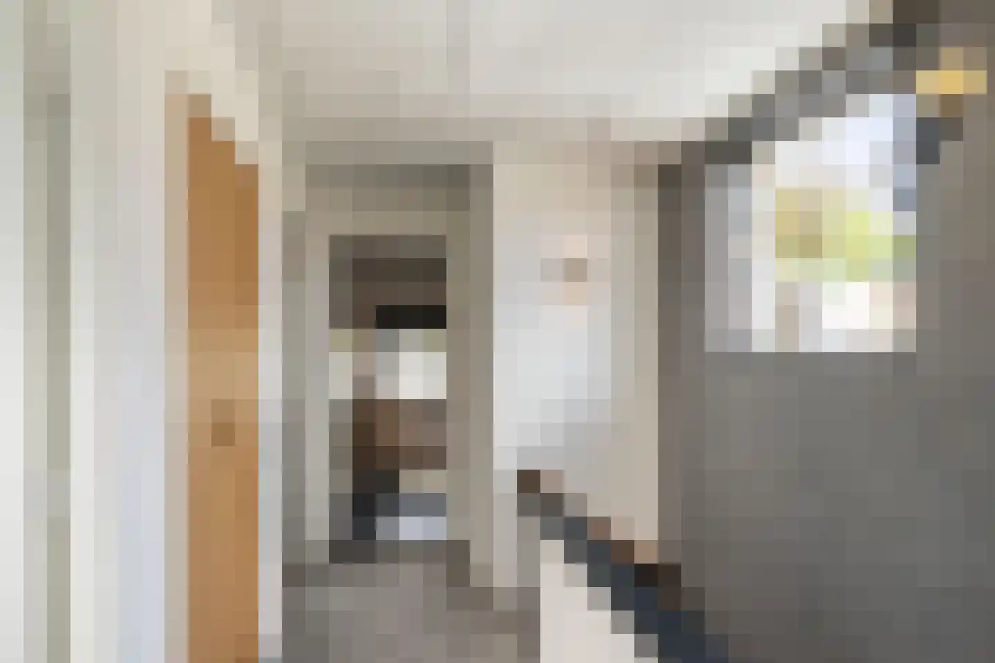 Frankenthalerstraat 12 Naaldwijk thumbnail 32