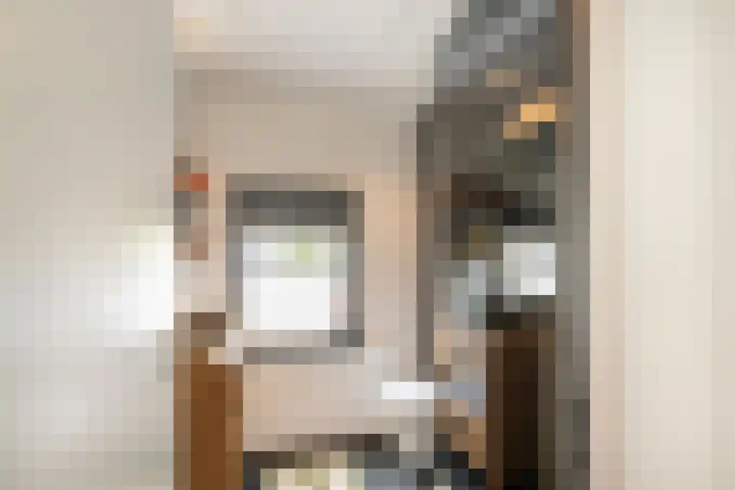 Frankenthalerstraat 12 Naaldwijk thumbnail 33