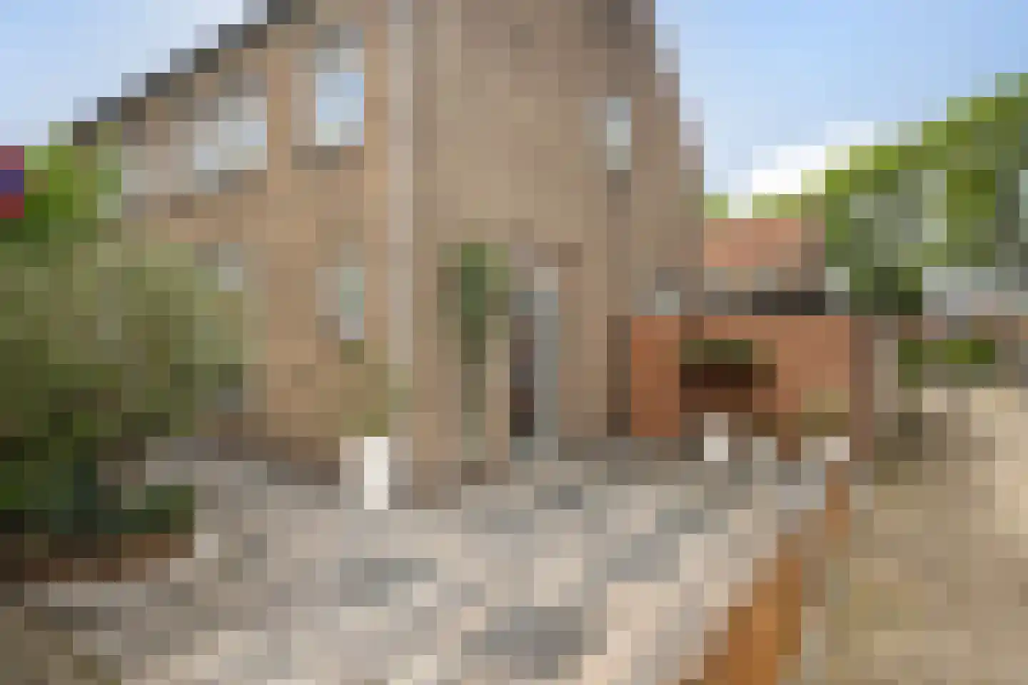 Frankenthalerstraat 12 Naaldwijk thumbnail 41