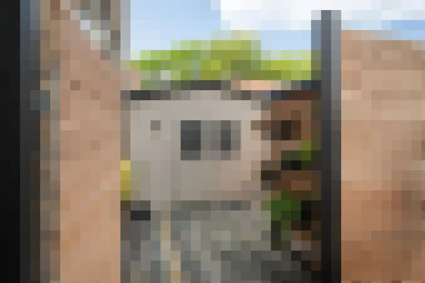 Frankenthalerstraat 12 Naaldwijk thumbnail 42