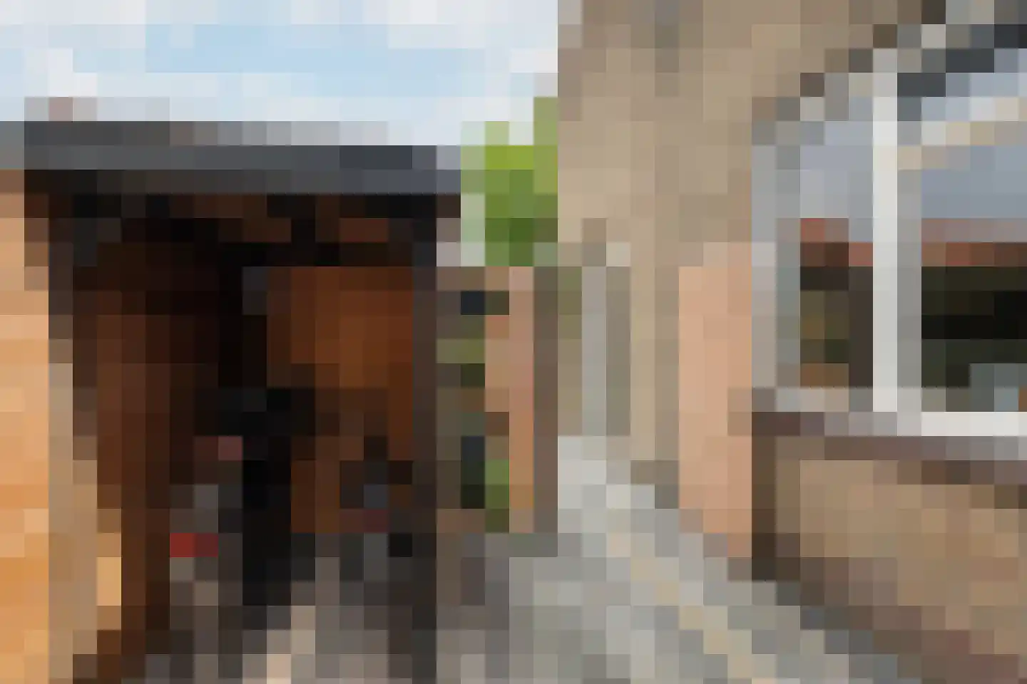 Frankenthalerstraat 12 Naaldwijk thumbnail 43