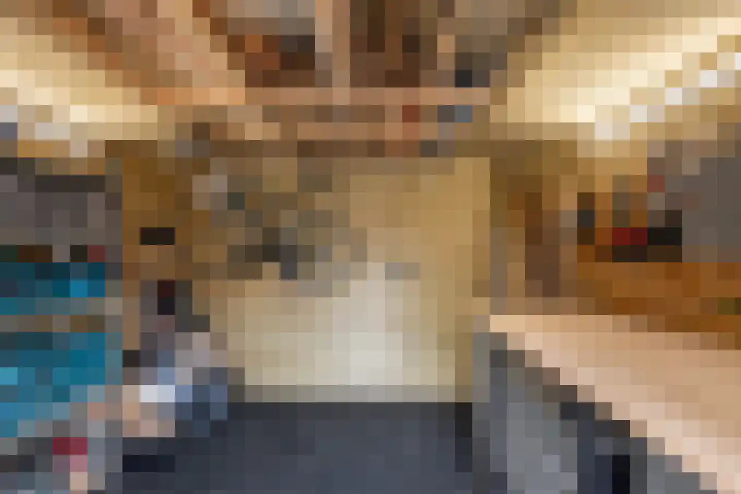 Frankenthalerstraat 12 Naaldwijk thumbnail 44