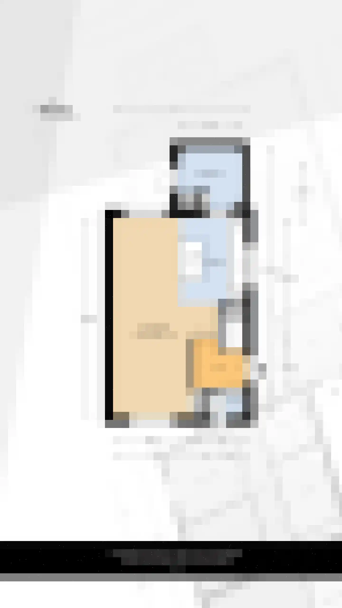 Frankenthalerstraat 12 Naaldwijk thumbnail 50