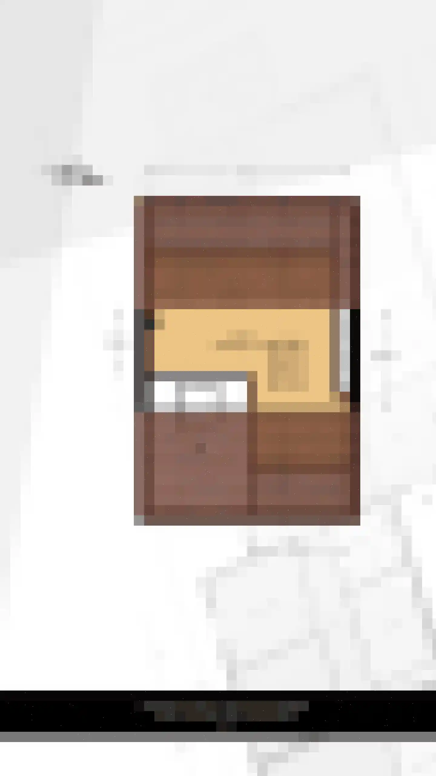 Frankenthalerstraat 12 Naaldwijk thumbnail 52
